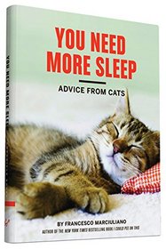 You Need More Sleep: Advice from Cats