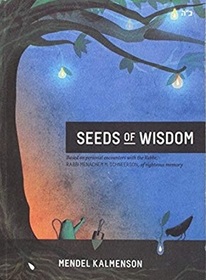Seeds of Wisdom: Based on Personal Encounters With the Rebbe, Rabbi Menachem M. Schneerson, of Righteous Memory