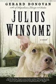 Julius Winsome: A Novel