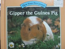 GIPPER THE GUINEA PIG (How Your Pet Grows)
