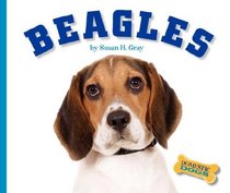 Beagles (Domestic Dogs)