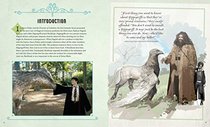 IncrediBuilds: Harry Potter: Buckbeak Deluxe Book and Model Set