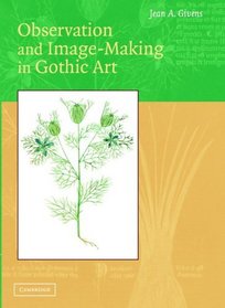 Observation and Image-Making in Gothic Art