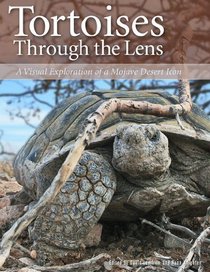 Tortoises Through the Lens: A Visual Exploration of a Mojave Desert Icon