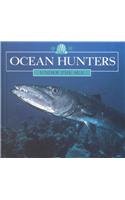 Ocean Hunters (Stone, Lynn M. Under the Sea.)