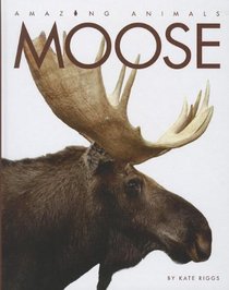 Moose (Amazing Animals (Creative Education Hardcover))