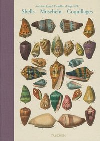 Dezallier D'Argenville: Conchology/Shells