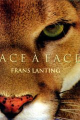 Face A Face: Dans L'Intimite Du Mond Animal