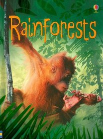 Rainforests (Usborne Beginners Level 1: Nature)