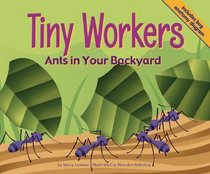 Tiny Workers: Ants in Your Backyard (Backyard Bugs)