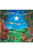 A Bright New Star (Story Book)