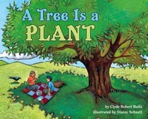 A Tree Is a Plant (Let's-Read-and-Find-Out Science)