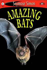 Amazing Bats