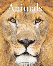 Encyclopedia of Animals