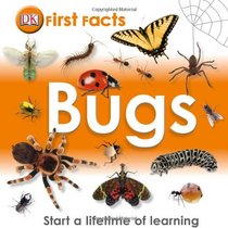First Facts: Bugs