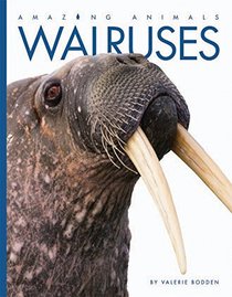 Walruses (Amazing Animals)