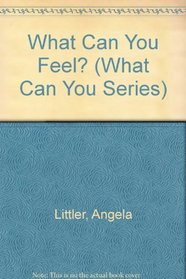 What Can You Feel? (What Can You Series)
