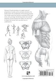 Understanding Human Form & Structure (The Art of Drawing)