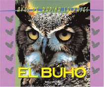 Salvajes (Wild) - Los Buho (Owl)