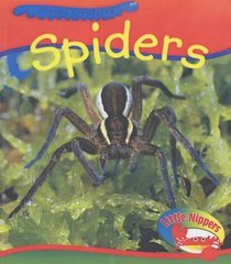 Spiders (Little Nippers: Creepy Creatures)
