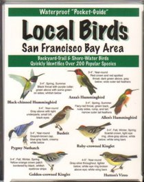 Local Birds of the San Francisco Bay Area