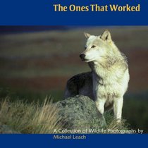 The Ones That Worked: A Collection of Wildlife Photographs
