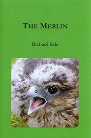 The Merlin