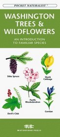 Washington Trees & Wildflowers: An Introduction to Familiar Species (Pocket Naturalism Series)