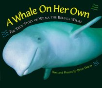 A Whale on Her Own Edition 1.