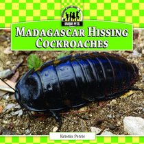 Madagascar Hissing Cockroaches (Unique Pets)