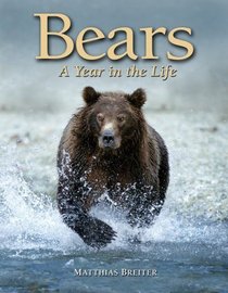Bears: A Year in the Life
