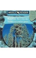 How Pine Trees Grow/como Crecen Los Pinos (How Plants Grow/Como Crecen Las Plantas) (Spanish Edition)