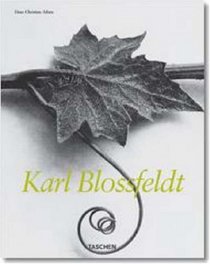 Karl Blossfeldt, 1865-1932 (Midsize)