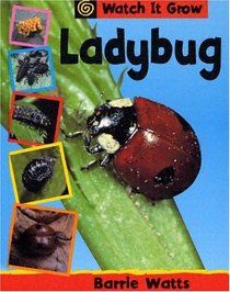 Ladybug (Watch It Grow)