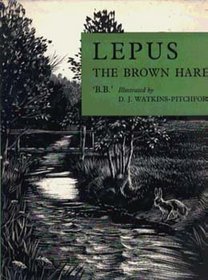 Lepus: the brown hare