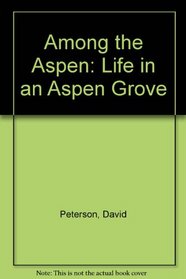 Among the Aspen: Life in an Aspen Grove