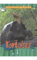 Tortoises (Animals of the Rain Forest)