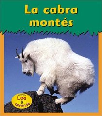 LA Cabra Montes Mountain Goat (Animales Del Zoologico) (Spanish Edition)