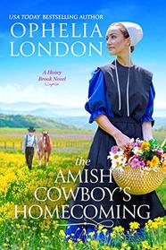 The Amish Cowboy's Homecoming (Honey Brook, Bk 2)