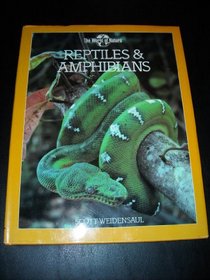 Reptiles and Amphibians (World of Nature)