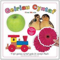 Geiriau Cyntaf / First Words (Welsh and English Edition)
