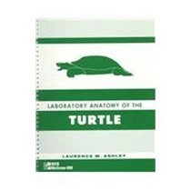 Lab Anatomy of The Turtle