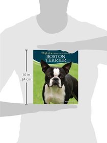 Boston Terrier (DogLife: Lifelong Care for Your Dog?)