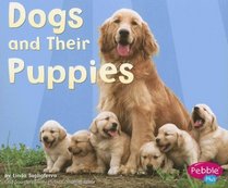 Dogs and Their Puppies (Pebble Plus: Animal Offspring)