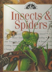 Insects & Spiders (Discoveries)