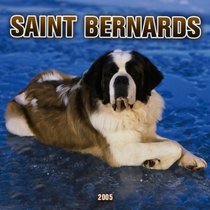 Saint Bernards 2005 Wall Calendar
