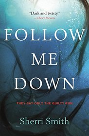 Follow Me Down: A Novel