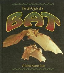 The Life Cycle of a Bat (The Life Cycle)