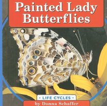 Painted Lady Butterflies (Life Cycles)