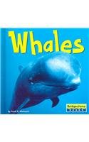 Whales (World of Mammals.)